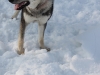img_0782_resize.jpg